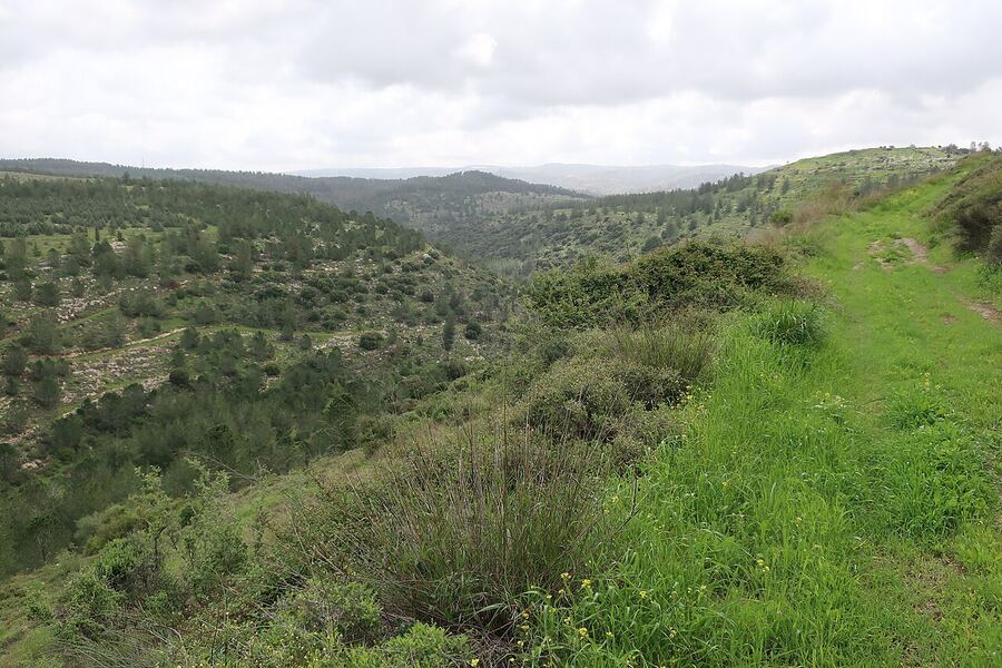 Judean mountains